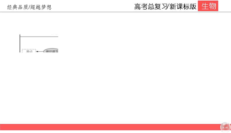 高中生物高考8-4课件PPT第3页