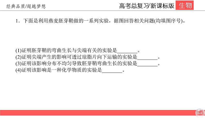 高中生物高考8-6课件PPT06