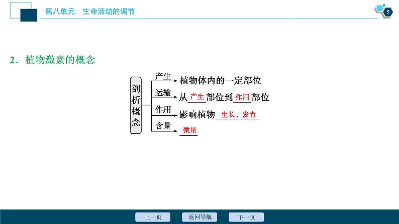 高中生物高考9　第八单元　第27讲　植物的激素调节课件PPT06