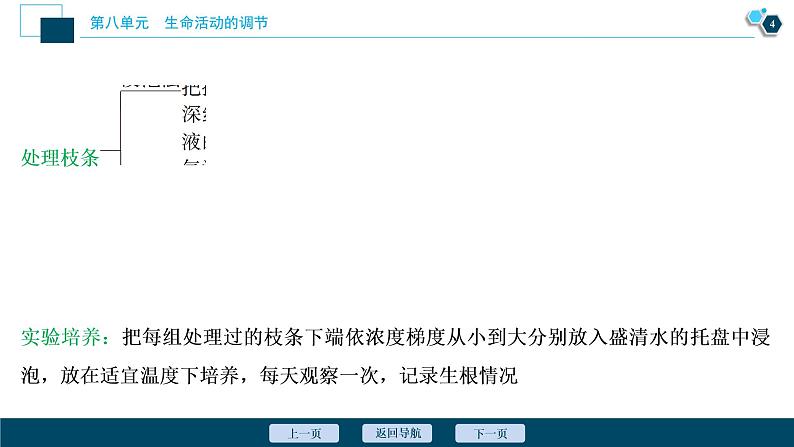 高中生物高考10　第八单元　加强提升课(8)　植物激素调节相关实验探究课件PPT第5页