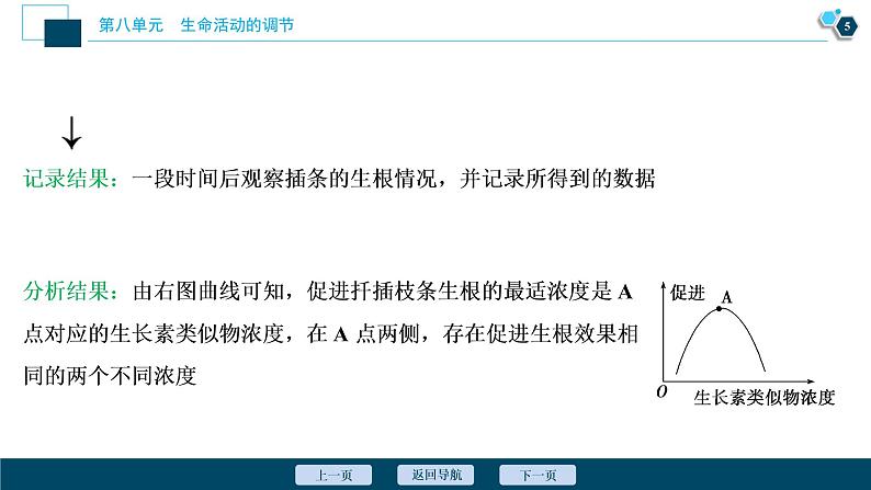 高中生物高考10　第八单元　加强提升课(8)　植物激素调节相关实验探究课件PPT第6页