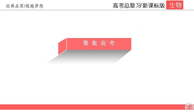 高中生物高考10-2课件PPT第7页