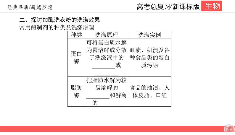 高中生物高考10-3课件PPT05