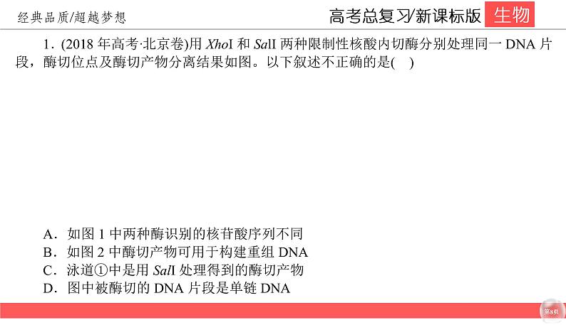 高中生物高考11-1课件PPT08