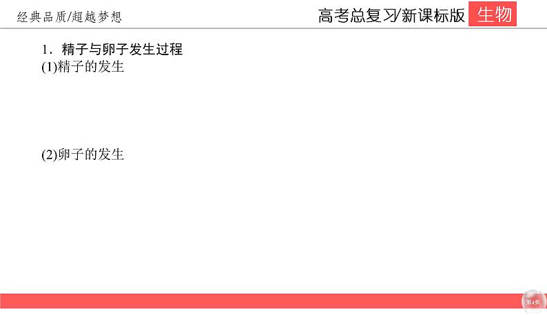 高中生物高考11-3课件PPT04