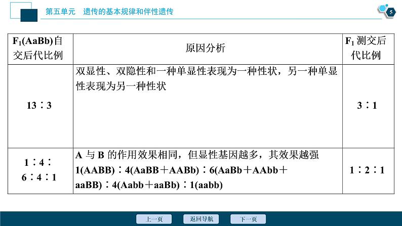 高中生物高考3　第五单元　加强提升课(4)　基因自由组合定律的拓展题型突破课件PPT第6页