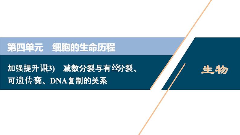 高中生物高考3　第四单元　加强提升课(3)　减数分裂与有丝分裂、可遗传变异、DNA复制的关系课件PPT01