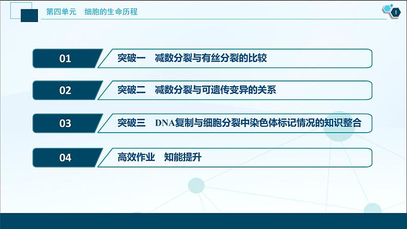 高中生物高考3　第四单元　加强提升课(3)　减数分裂与有丝分裂、可遗传变异、DNA复制的关系课件PPT02