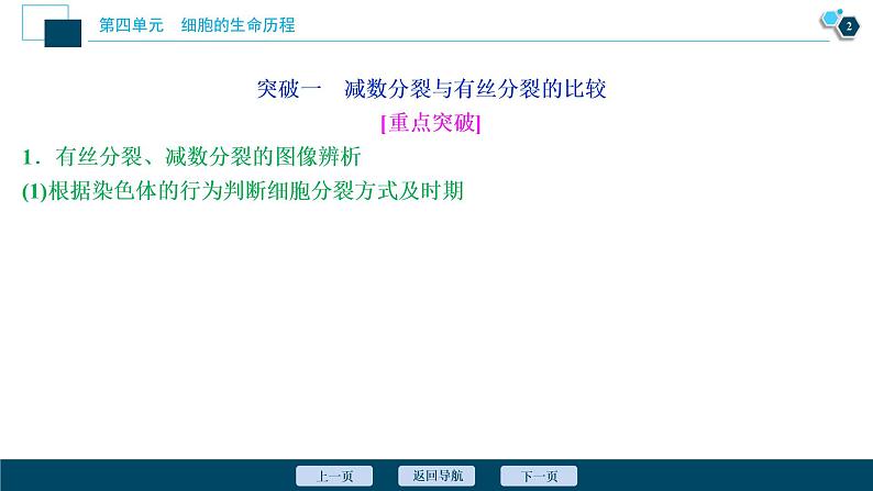 高中生物高考3　第四单元　加强提升课(3)　减数分裂与有丝分裂、可遗传变异、DNA复制的关系课件PPT03