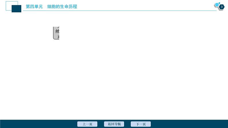 高中生物高考3　第四单元　加强提升课(3)　减数分裂与有丝分裂、可遗传变异、DNA复制的关系课件PPT04