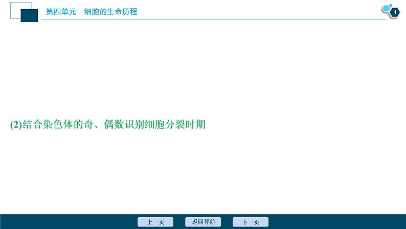 高中生物高考3　第四单元　加强提升课(3)　减数分裂与有丝分裂、可遗传变异、DNA复制的关系课件PPT05