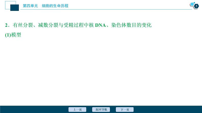 高中生物高考3　第四单元　加强提升课(3)　减数分裂与有丝分裂、可遗传变异、DNA复制的关系课件PPT06