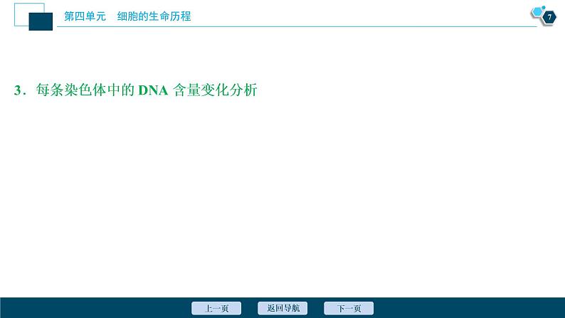 高中生物高考3　第四单元　加强提升课(3)　减数分裂与有丝分裂、可遗传变异、DNA复制的关系课件PPT08