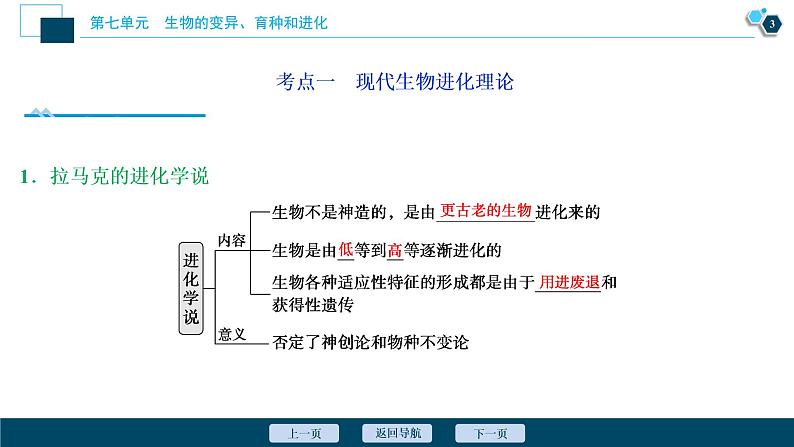 高中生物高考3　第七单元　第22讲　生物的进化课件PPT04