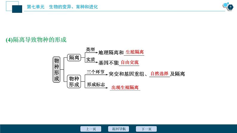 高中生物高考3　第七单元　第22讲　生物的进化课件PPT08