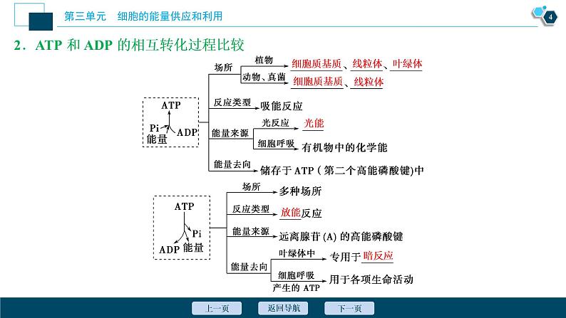 高中生物高考3　第三单元　第9讲　ATP及其主要来源——细胞呼吸课件PPT05