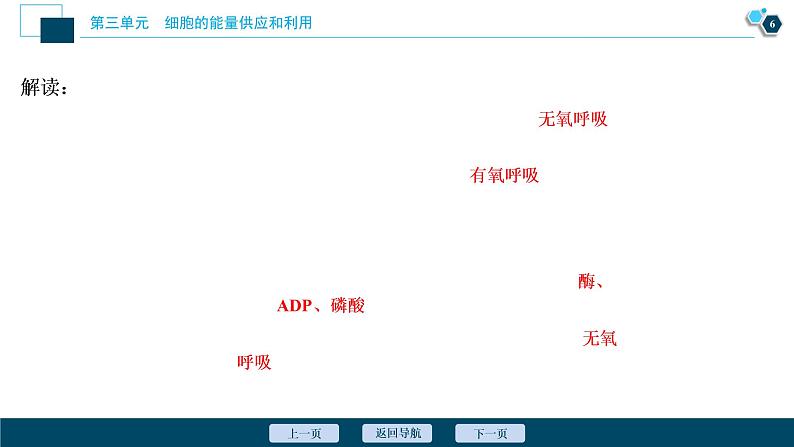 高中生物高考3　第三单元　第9讲　ATP及其主要来源——细胞呼吸课件PPT07