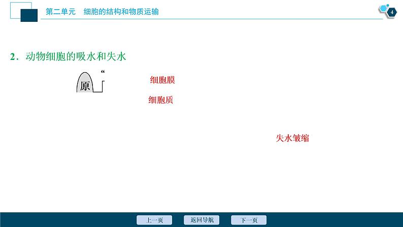 高中生物高考3　第二单元　第7讲　物质跨膜运输的实例和方式课件PPT第5页