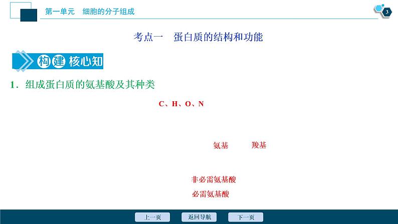 高中生物高考3　第一单元　第3讲　生命活动的主要承担者——蛋白质课件PPT第4页