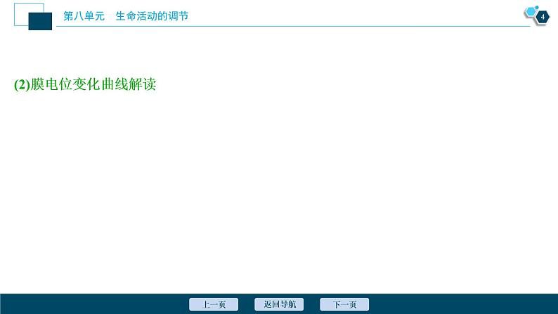 高中生物高考3 加强提升课(6)　膜电位测定及相关的实验探究课件PPT第5页