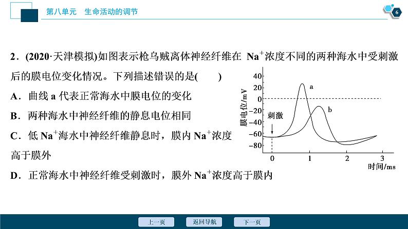 高中生物高考3 加强提升课(6)　膜电位测定及相关的实验探究课件PPT第7页