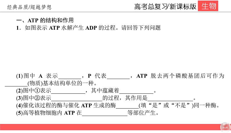 高中生物高考3-2课件PPT第6页