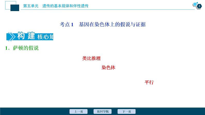 高中生物高考4 第15讲　基因在染色体上　伴性遗传课件PPT第4页