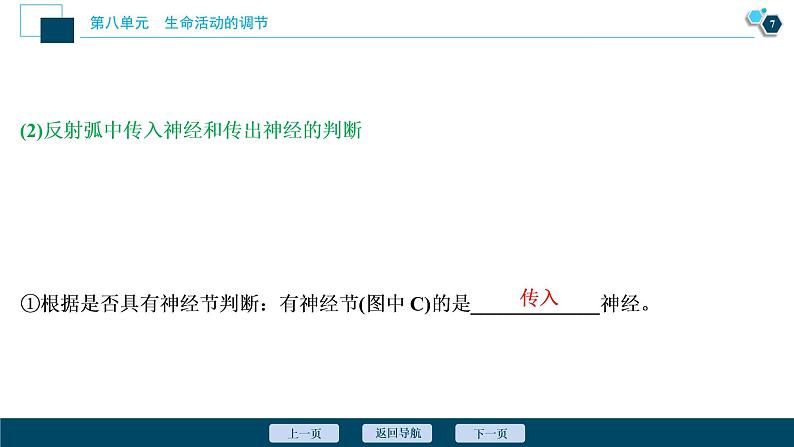 高中生物高考2　第八单元　第24讲　通过神经系统的调节课件PPT第8页