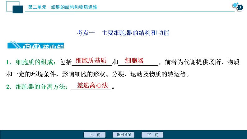 高中生物高考2　第二单元　第6讲　细胞器和生物膜系统课件PPT04