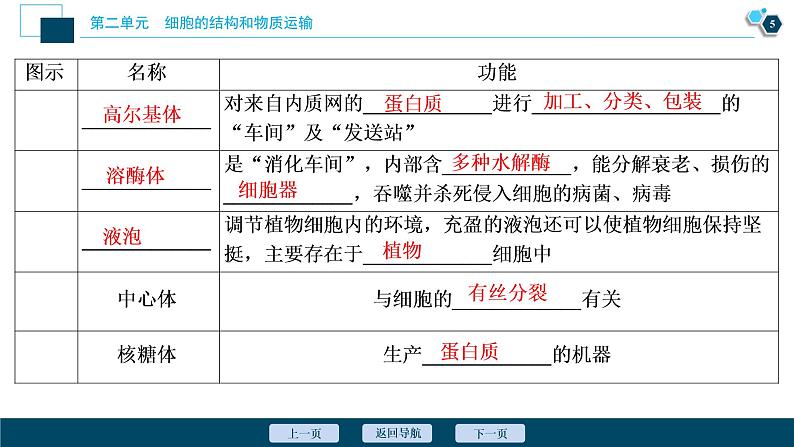 高中生物高考2　第二单元　第6讲　细胞器和生物膜系统课件PPT06