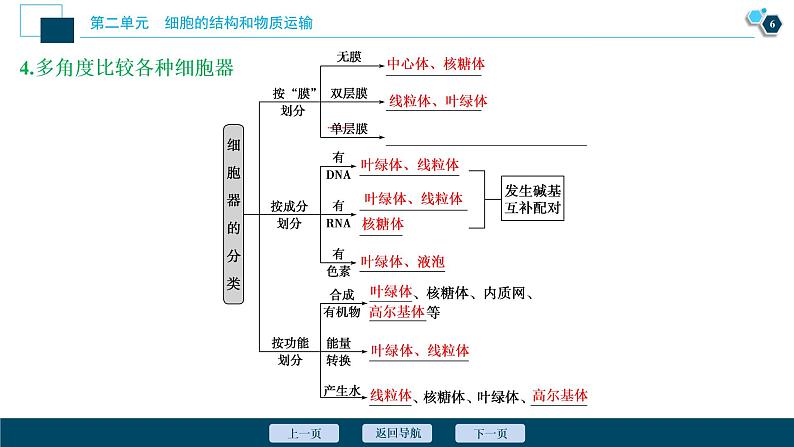 高中生物高考2　第二单元　第6讲　细胞器和生物膜系统课件PPT07