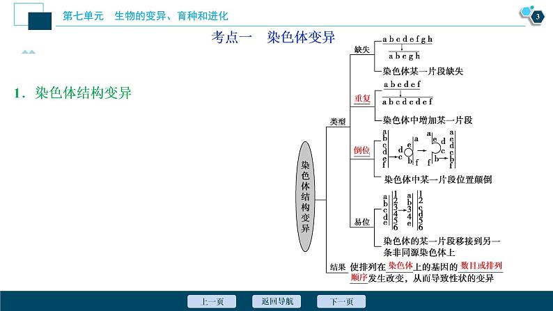 高中生物高考2　第七单元　第21讲　染色体变异与育种课件PPT第4页