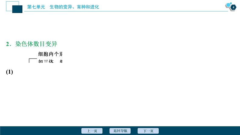 高中生物高考2　第七单元　第21讲　染色体变异与育种课件PPT第5页