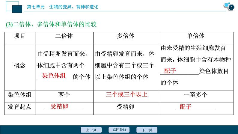 高中生物高考2　第七单元　第21讲　染色体变异与育种课件PPT第7页