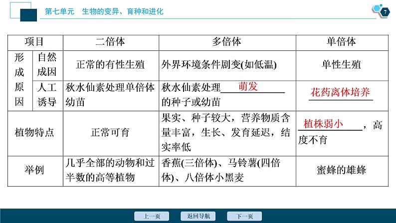 高中生物高考2　第七单元　第21讲　染色体变异与育种课件PPT第8页