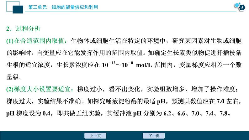 高中生物高考2　第三单元　实验技能(二)　变量梯度设置在实验中的应用课件PPT第6页