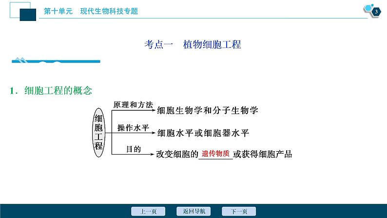 高中生物高考2　第十单元　第34讲　细胞工程课件PPT04