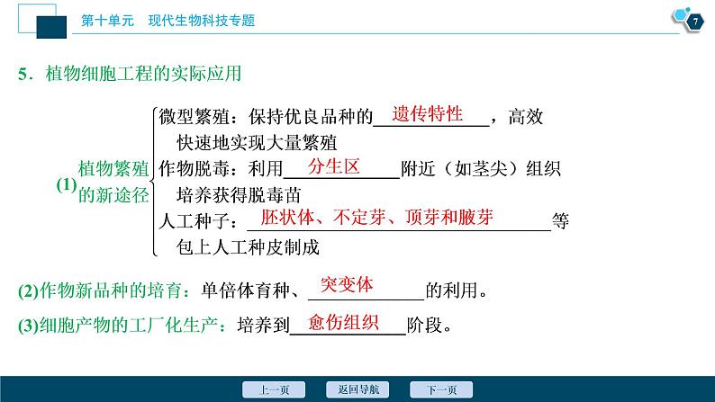 高中生物高考2　第十单元　第34讲　细胞工程课件PPT08