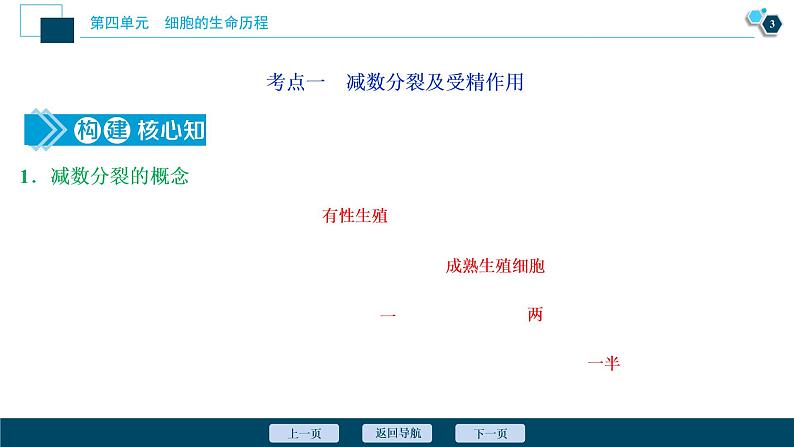 高中生物高考2　第四单元　第12讲　减数分裂和受精作用课件PPT04