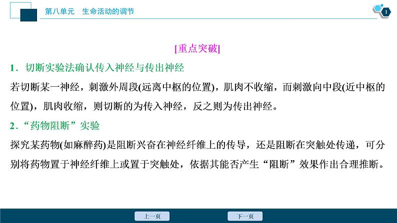 高中生物高考3　第八单元　加强提升课(6)　反射弧中兴奋传导特点的实验探究课件PPT02