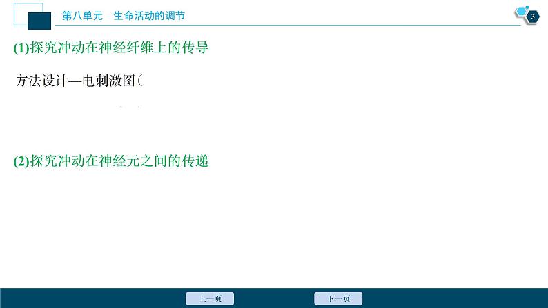 高中生物高考3　第八单元　加强提升课(6)　反射弧中兴奋传导特点的实验探究课件PPT04