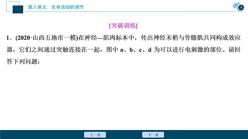 高中生物高考3　第八单元　加强提升课(6)　反射弧中兴奋传导特点的实验探究课件PPT05