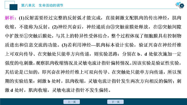 高中生物高考3　第八单元　加强提升课(6)　反射弧中兴奋传导特点的实验探究课件PPT07