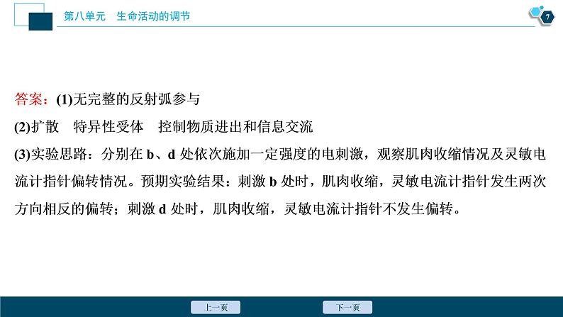 高中生物高考3　第八单元　加强提升课(6)　反射弧中兴奋传导特点的实验探究课件PPT08