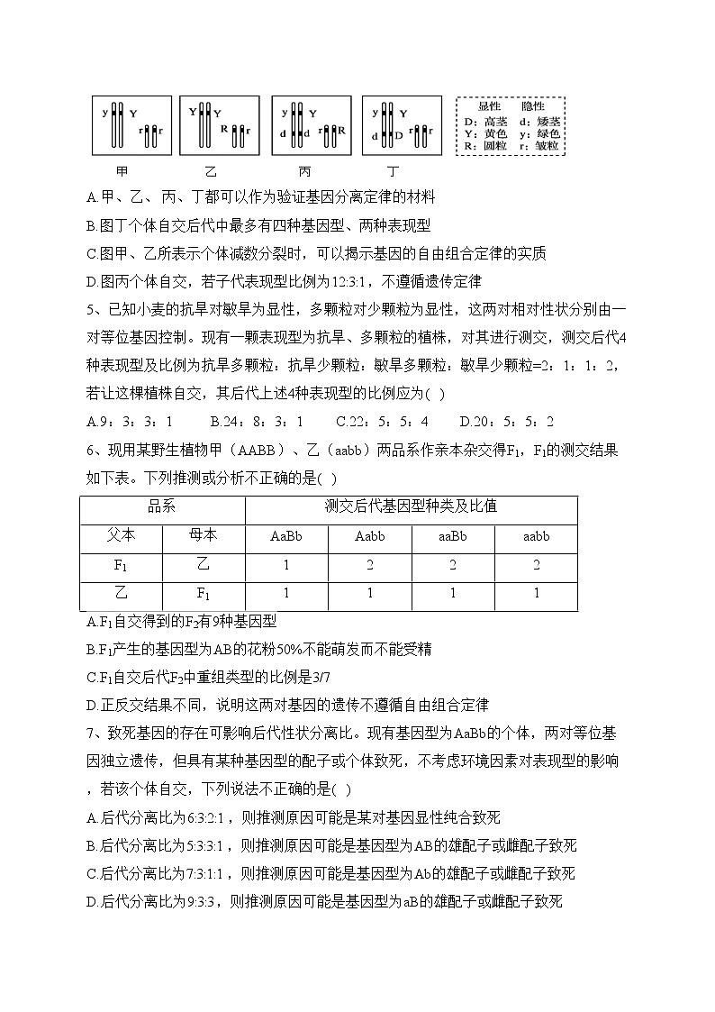 山东省莱西市第一中学2022-2023学年高一下学期3月月考生物试卷（含答案）第2页