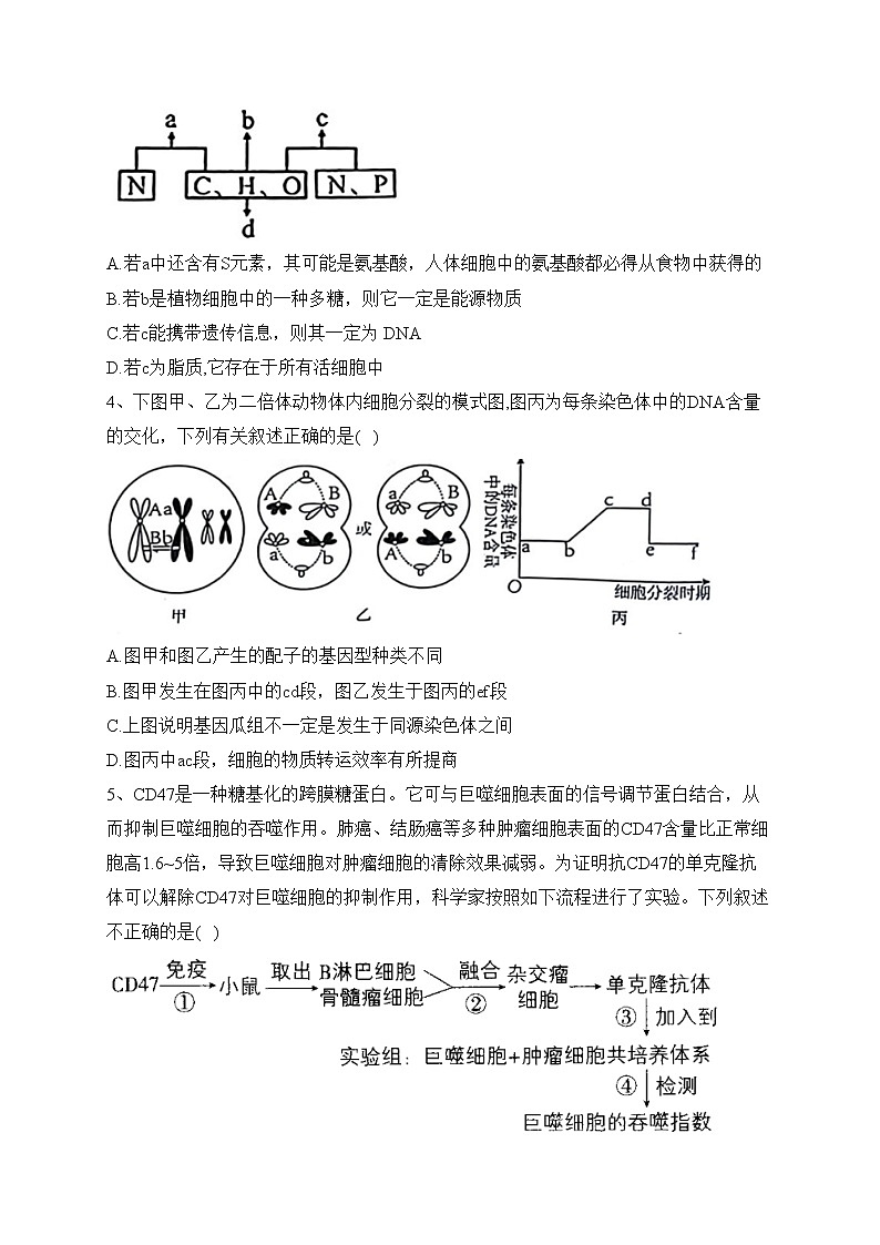 辽宁省鞍山市2023届高三下学期第一次模拟考试生物试卷（含答案）02