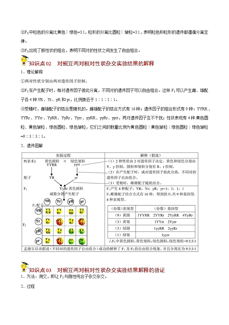 1.2 孟德尔的豌豆杂交实验（二）（第1课时）（学生版）-高一生物同步精品讲义（人教2019必修2）第2页