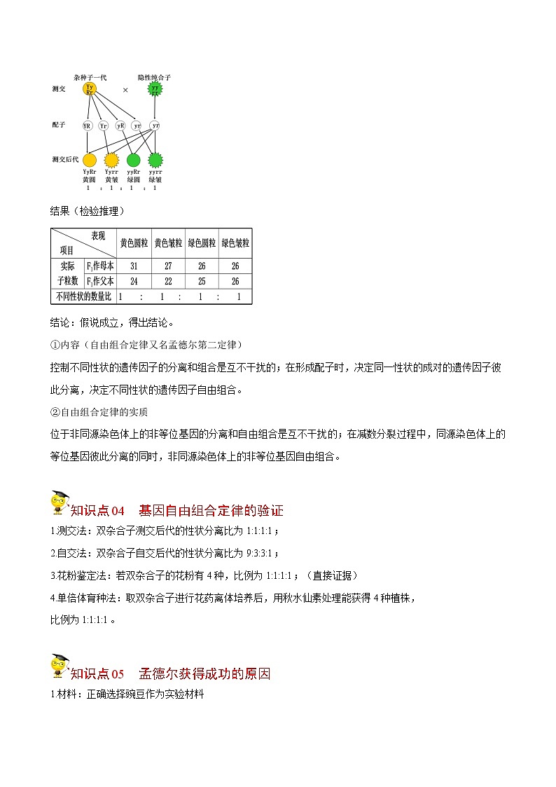 1.2 孟德尔的豌豆杂交实验（二）（第1课时）（学生版）-高一生物同步精品讲义（人教2019必修2）第3页