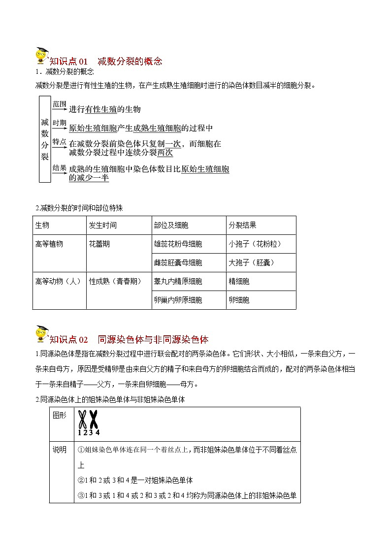 2.1 减数分裂和受精作用（第1课时）（学生版）-高一生物同步精品讲义（人教2019必修2）第3页
