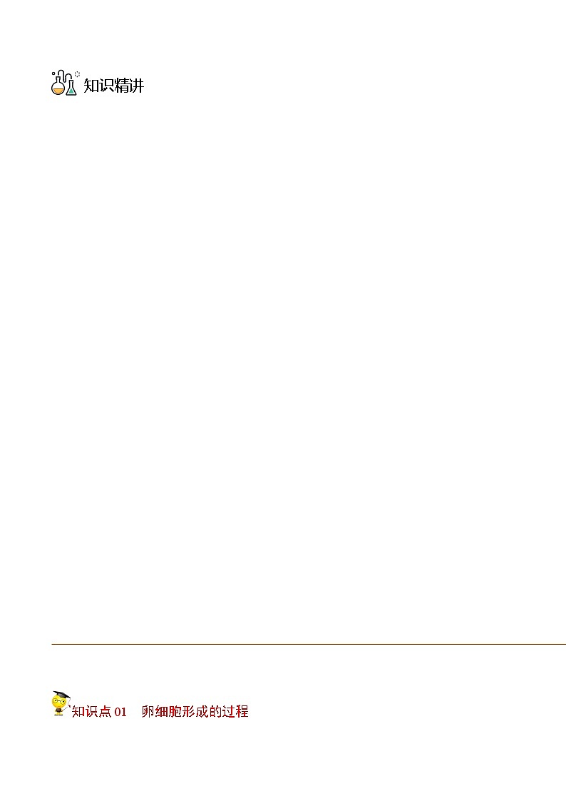 2.1 减数分裂和受精作用（第2课时）（学生版）-高一生物同步精品讲义（人教2019必修2）第3页